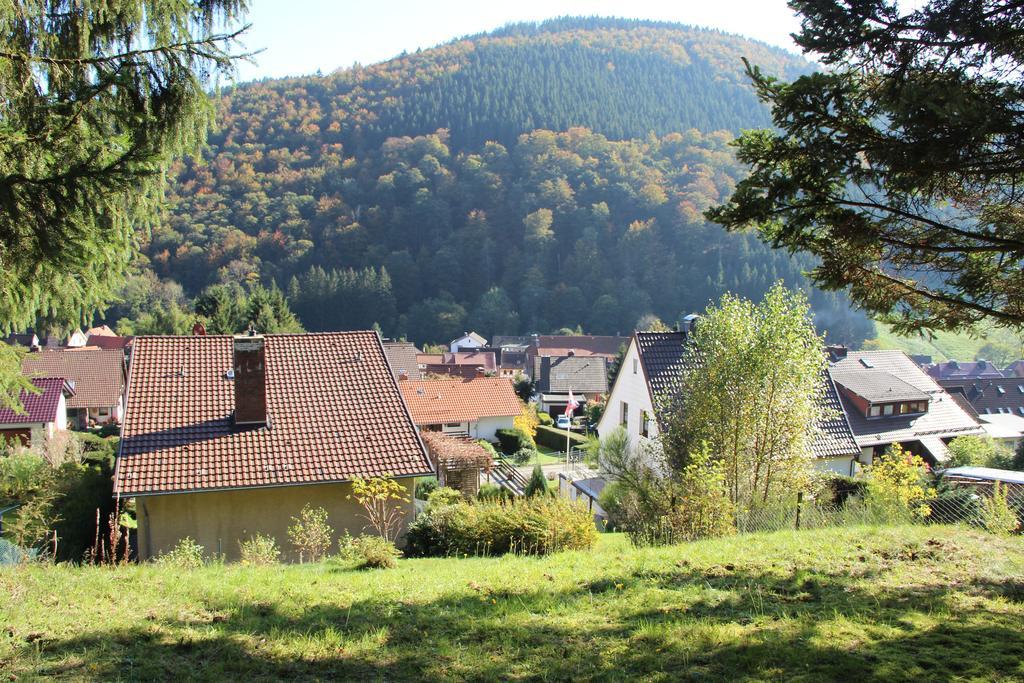 Haus Panoramablick Villa Sieber Стая снимка